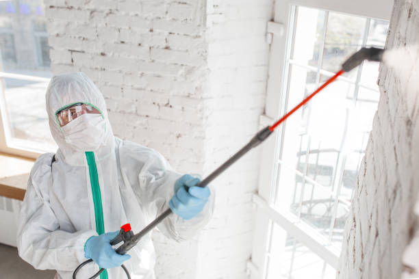 Professional Mold Inspection, Removal & Remediation in Blaine, WA